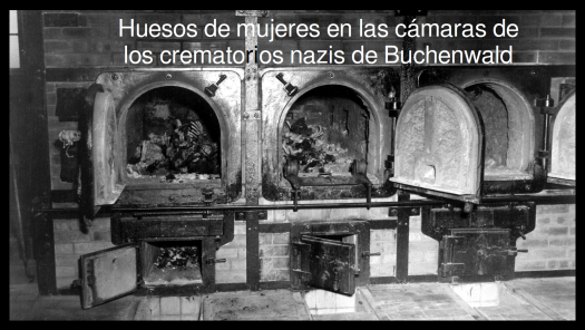 Buchenwald word press